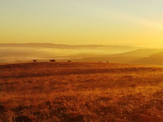 Levé du soleil sur L’Aubrac