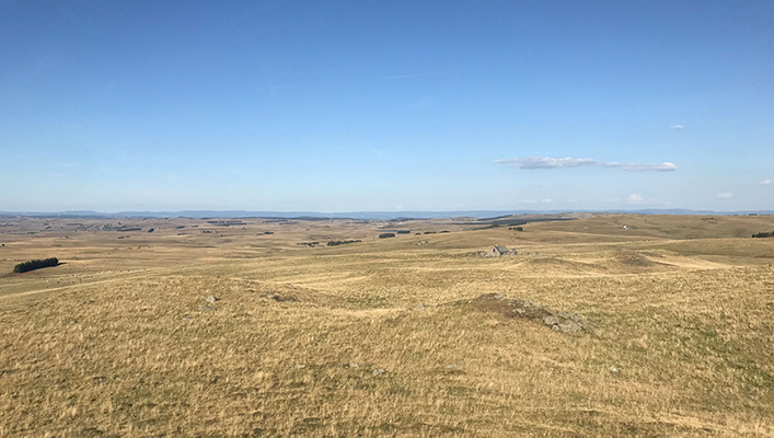 Promenade sur L’Aubrac