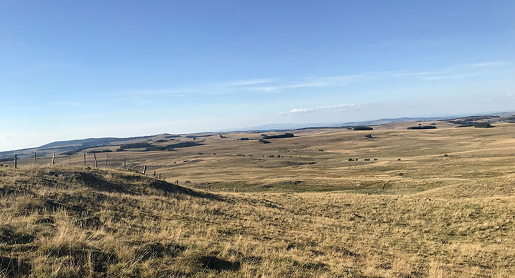 Promenade sur L’Aubrac